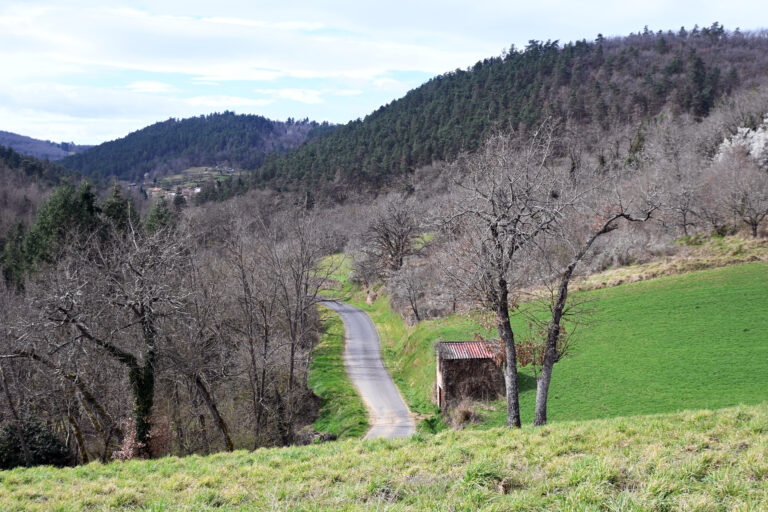 DSC_8835